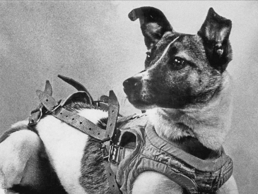 Soviet Union launches first animal into space
